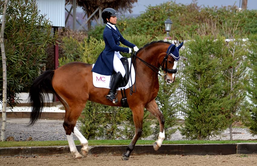 ana-ceña-ac-dressage-phr