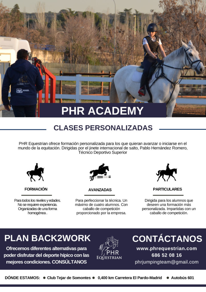 Clases personalizadas de equitación en Madrid para todos los niveles
