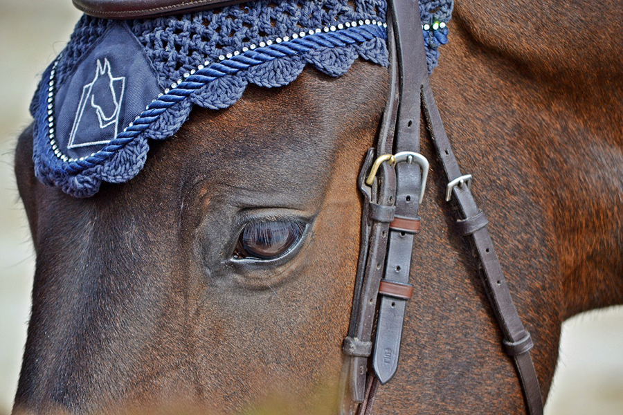 Trofeo Princesa de Asturias