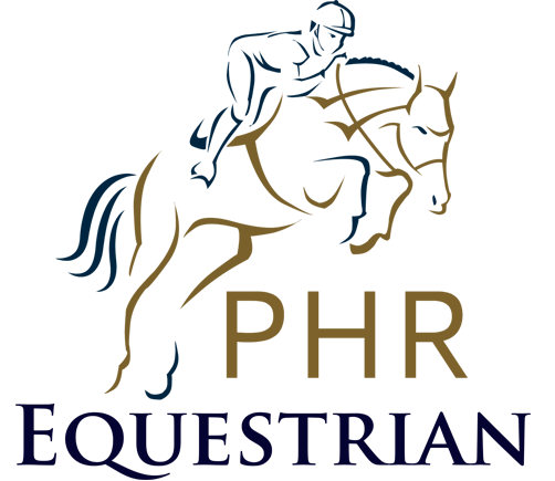 Escuela de Hípica logo equestrian(1)