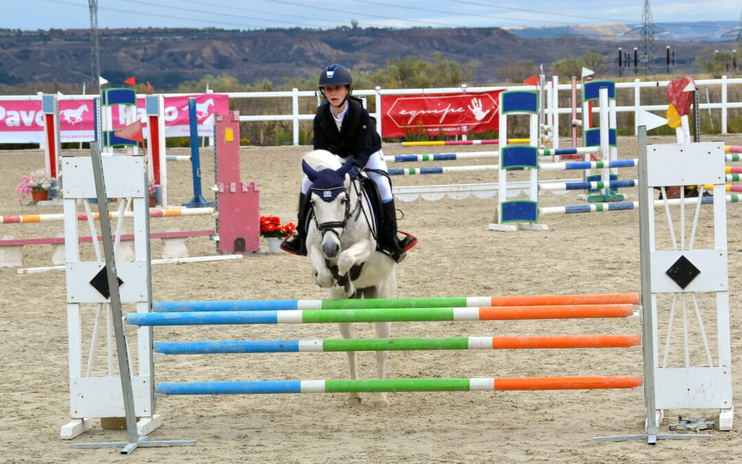 Campeonato de la Comunidad de Madrid de Ponis 2020