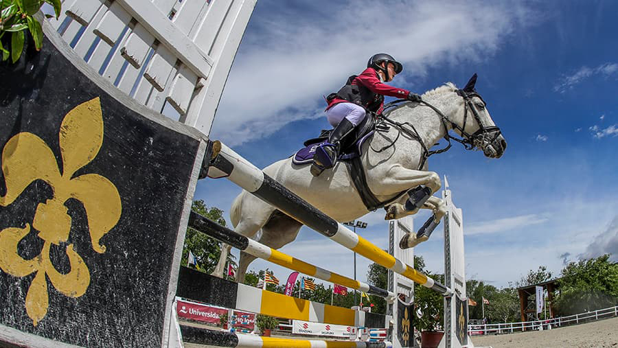 Campeonato de España de ponis