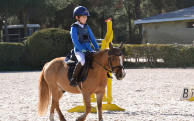 Pony Campeón de España, nuevo en la cuadra de PHR