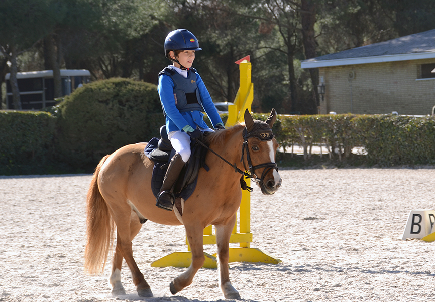 Pony Campeón de España