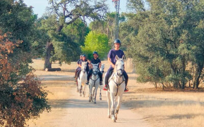 Escuela de equitación: PHR Academy retoma sus clases