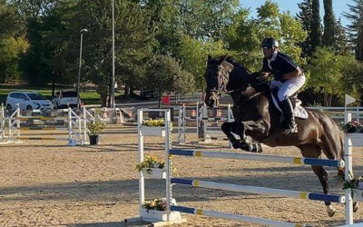 Concurso de salto: Pablo Hernández y Laura Griñán en el RACE